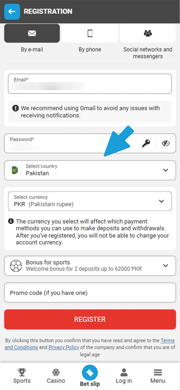 Fill up all Megapari registration form fields.