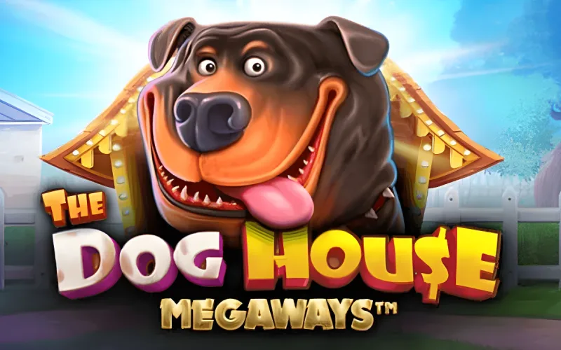 The Dog House Megaways unleashes barking big wins on Megapari.