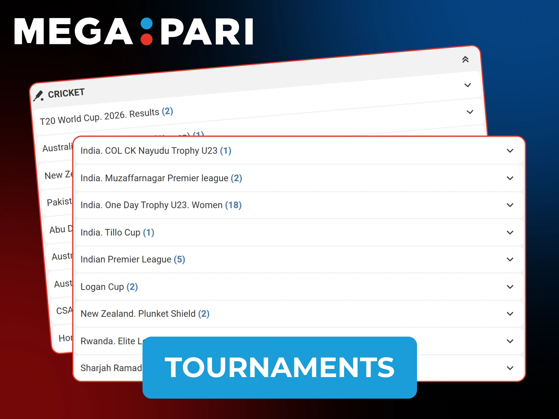 Explore various MegaPari Cricket leagues and local tournaments in Pakistan.